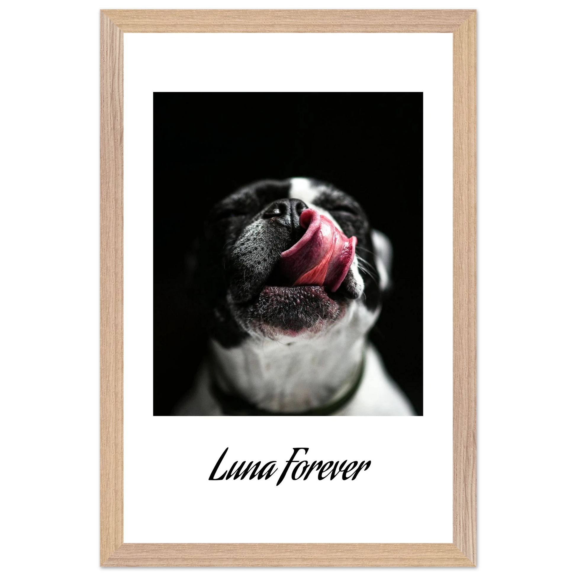 1871d99d-4334-4406-920f-0b81446864c0