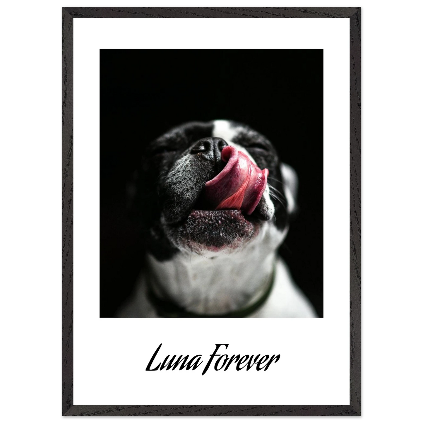 1f9c36b2-2fd2-4a71-9bb5-6c51dadc06bb