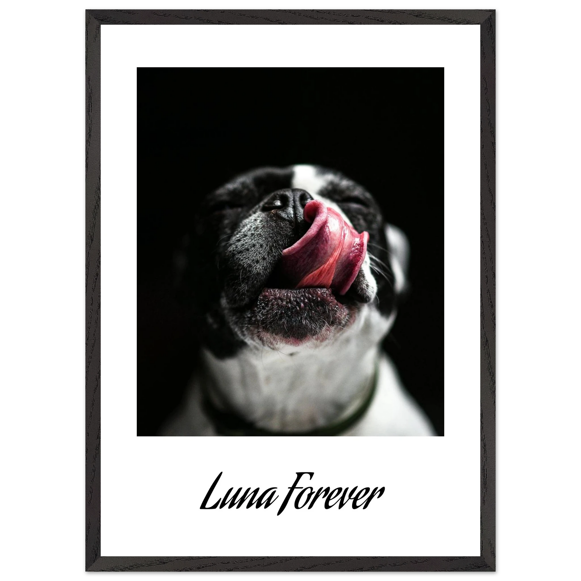 1f9c36b2-2fd2-4a71-9bb5-6c51dadc06bb