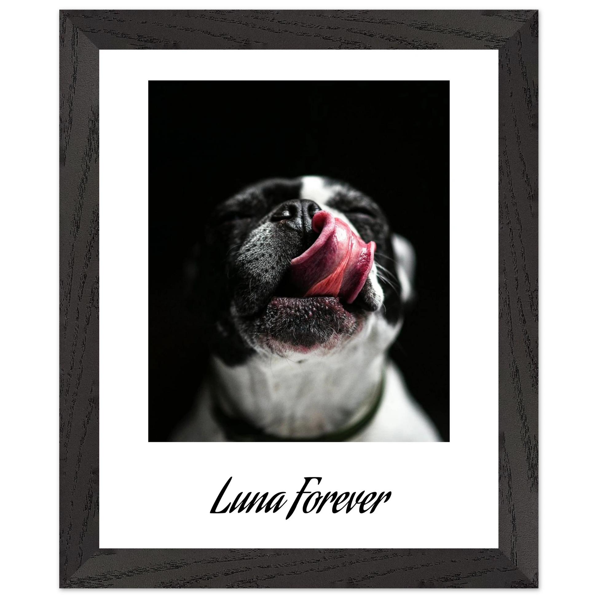 20e5b3f9-9c4f-4bca-8af5-36f7994a942a