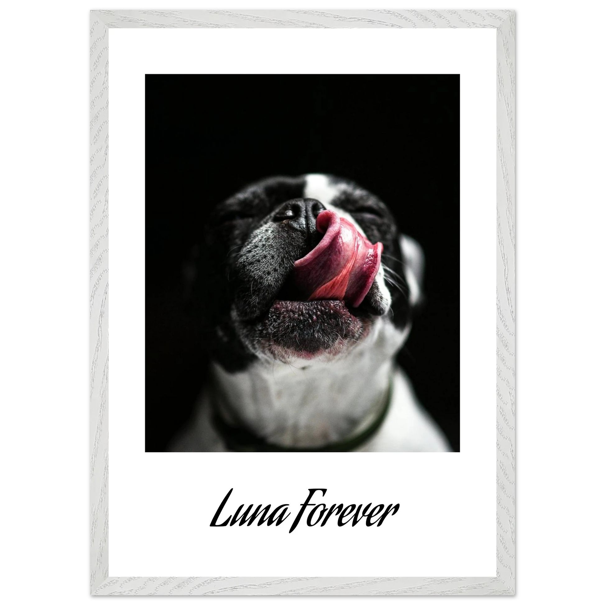 25bffb79-b539-407f-a535-736be3ee681f