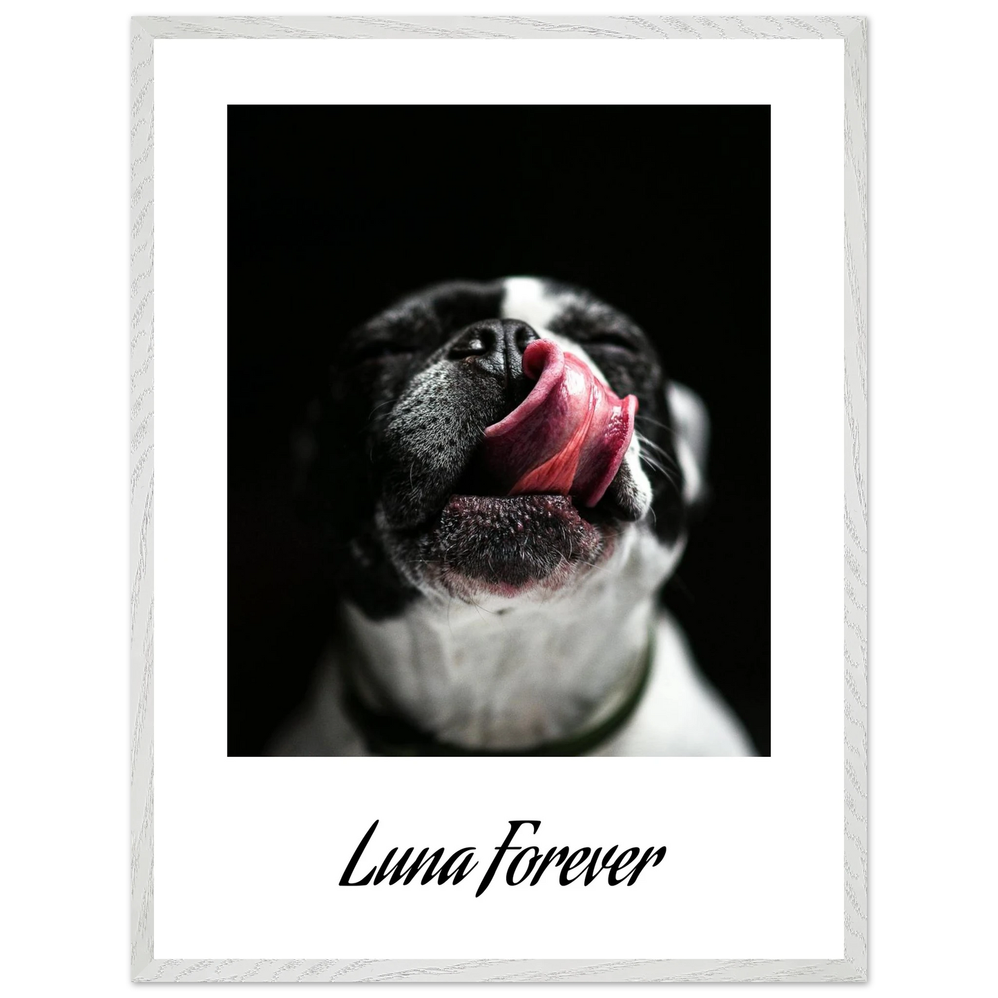 26b0e72a-29c7-4cad-b196-38cd3678d211