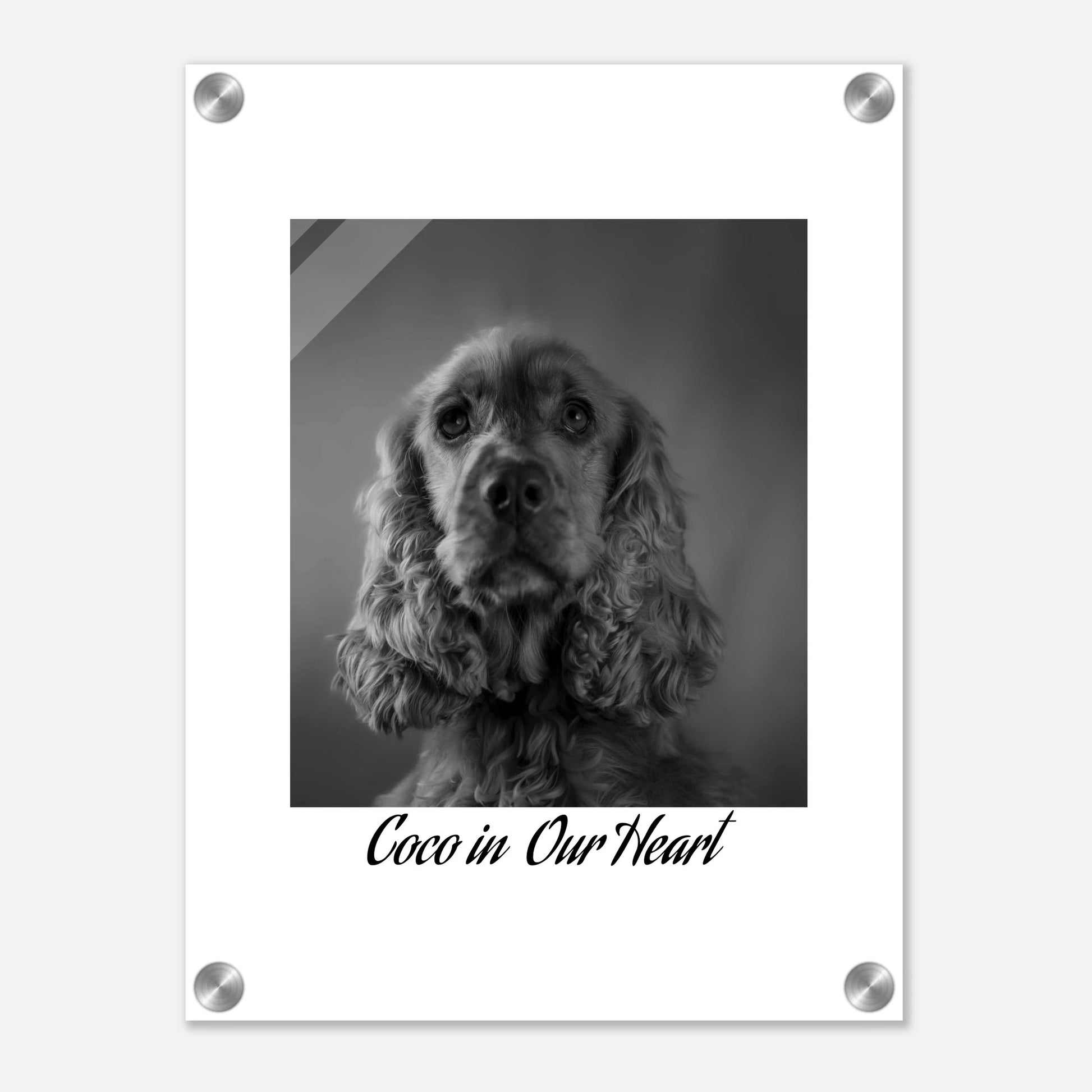 39eb100e-20a6-4568-9484-12edb618973c