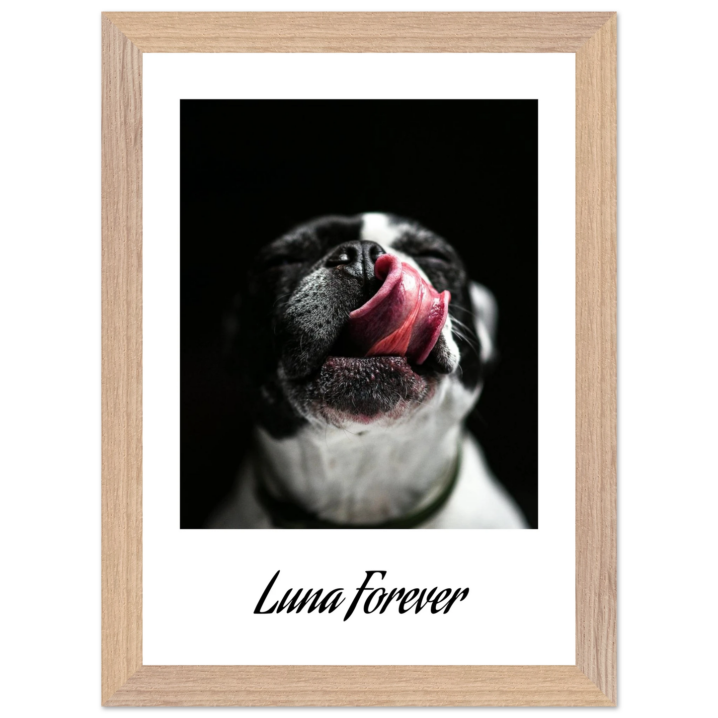 3f76bad3-8374-4d83-affe-6037eea000f7