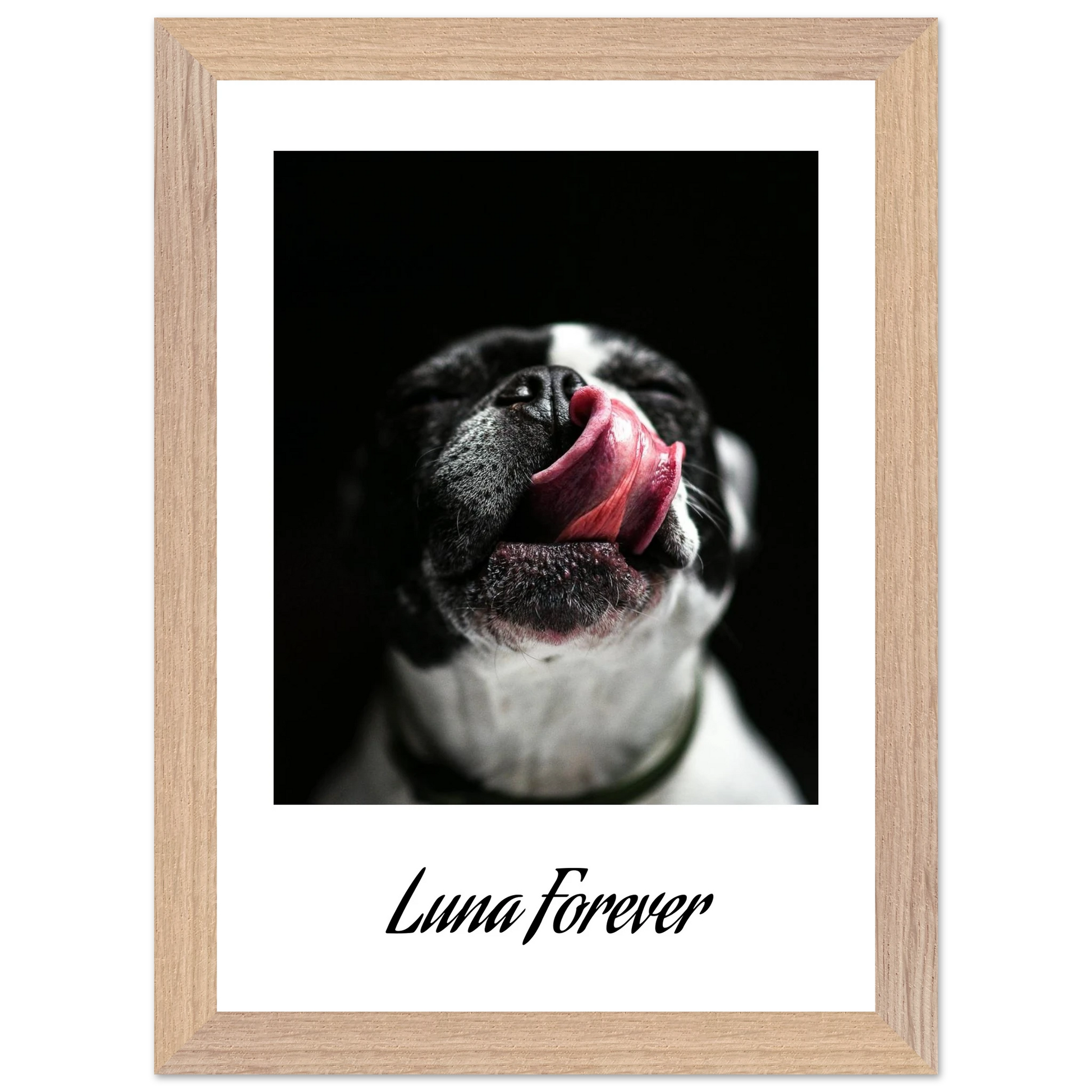 3f76bad3-8374-4d83-affe-6037eea000f7