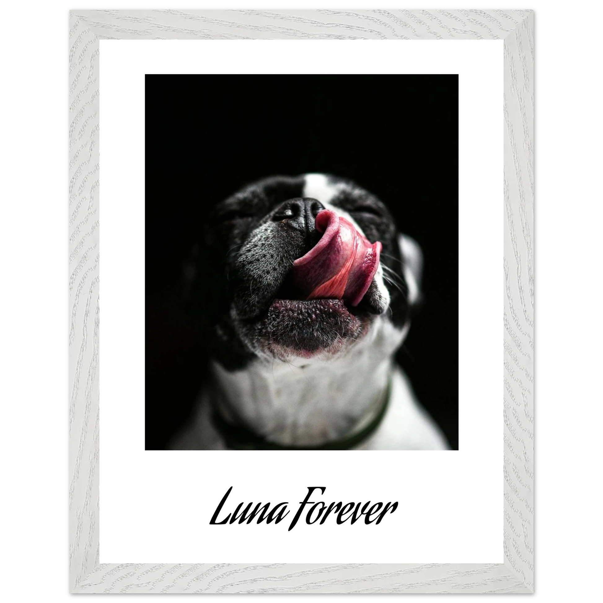 42e8b1ed-ee0f-4c03-ae3d-57952dde8021