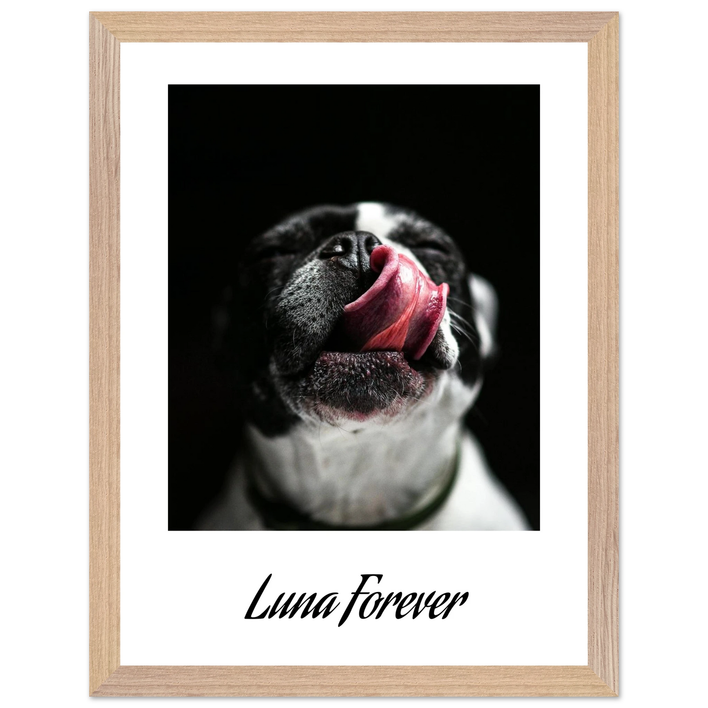 488a4fd0-1106-477f-82f7-38efb34d13ab