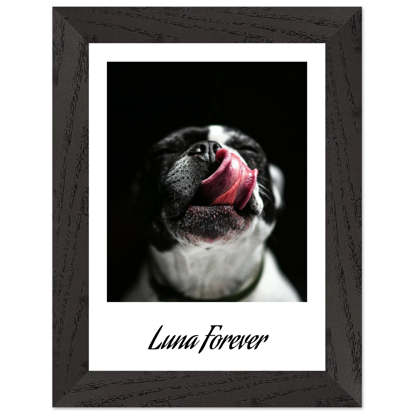 49a07024-f612-45c9-9207-eb3371714dd5