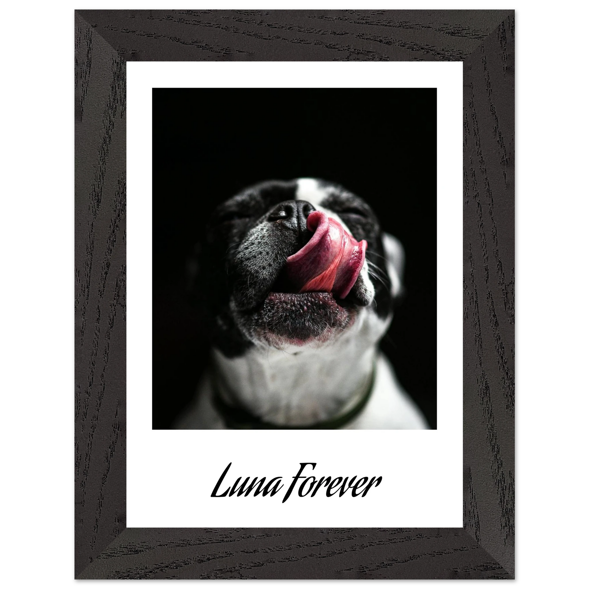 49a07024-f612-45c9-9207-eb3371714dd5