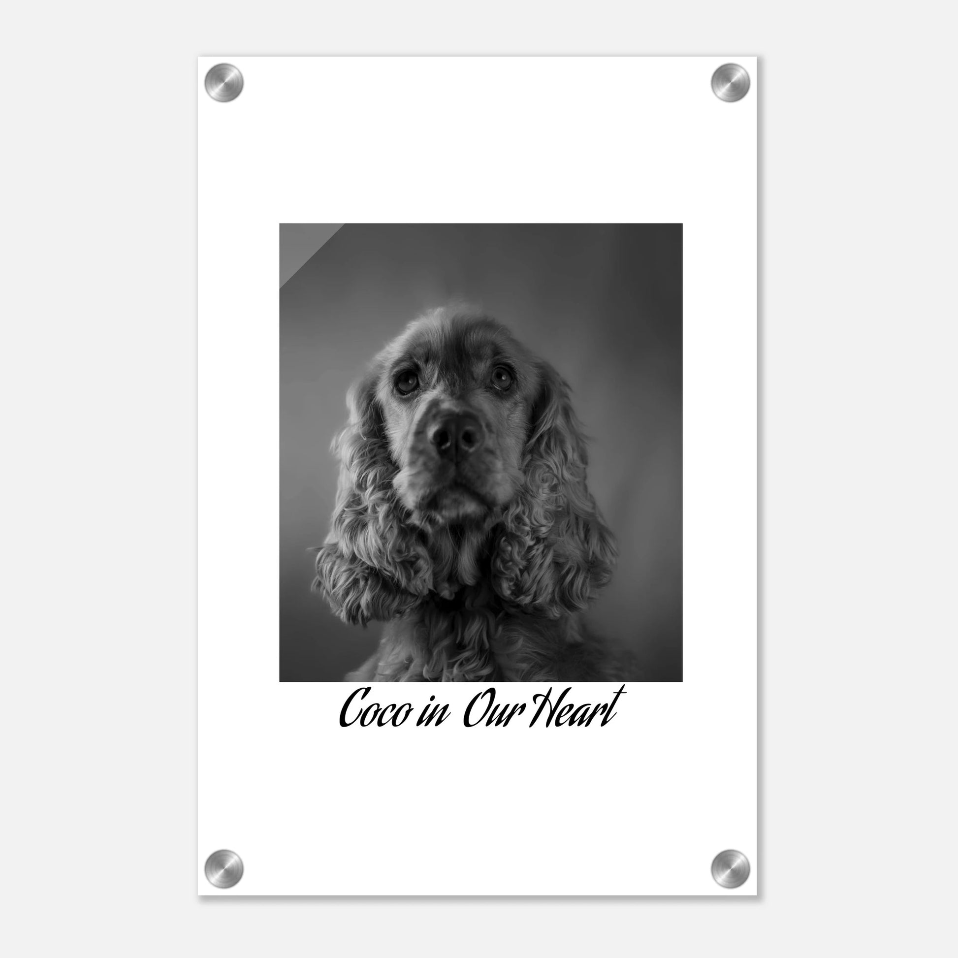 4cb796fb-9b94-408d-a138-7c0322de7808