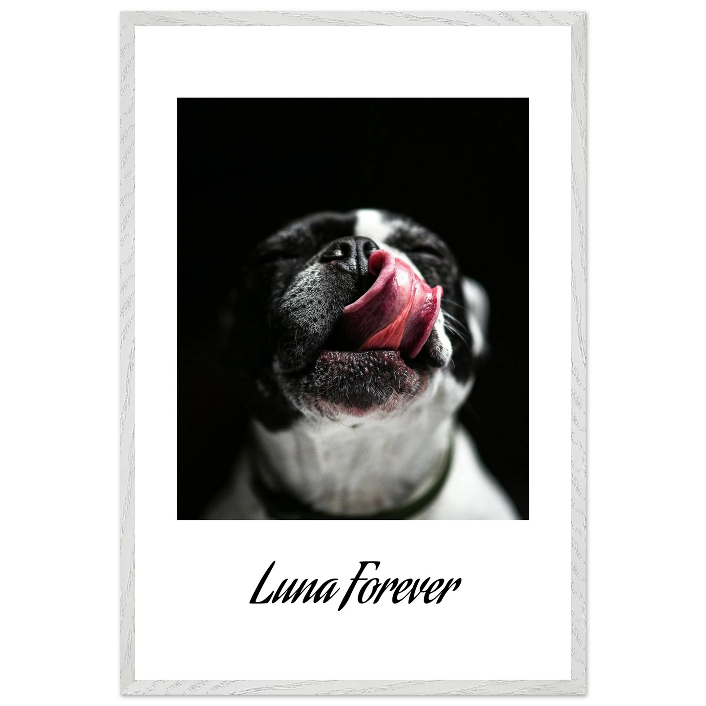 4d0d7d8b-5da2-43ae-8b03-752737629e1b