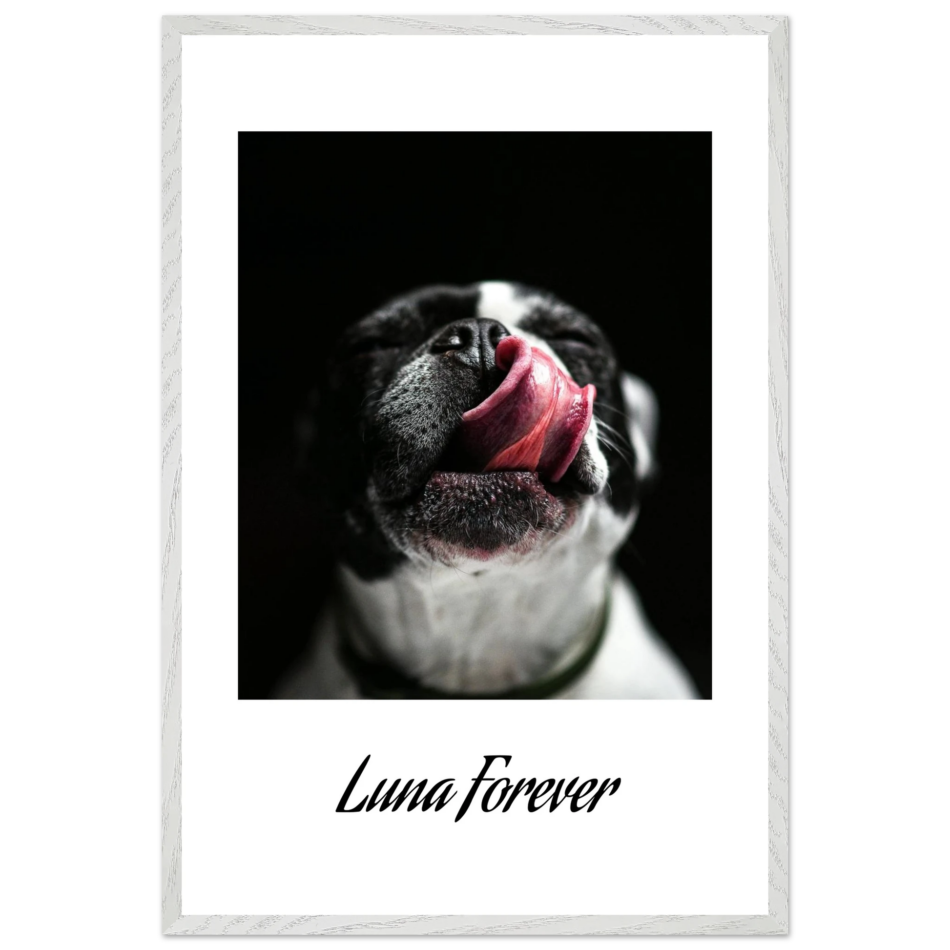 4d0d7d8b-5da2-43ae-8b03-752737629e1b