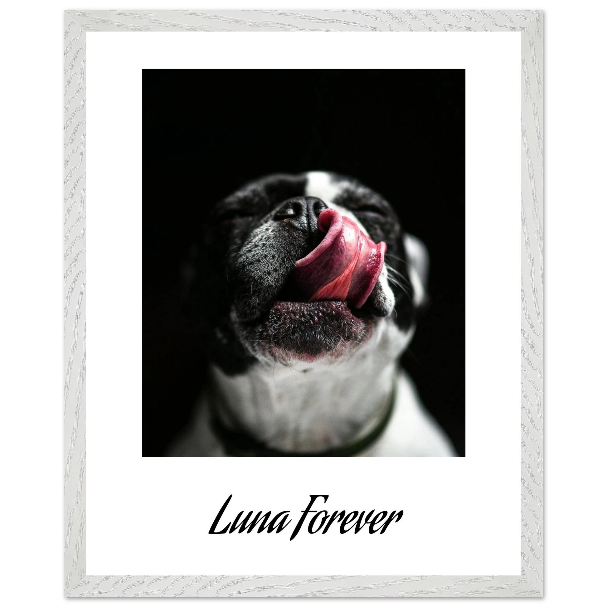 4f9b0ed7-784f-460a-b6e5-09a8361d5d7f