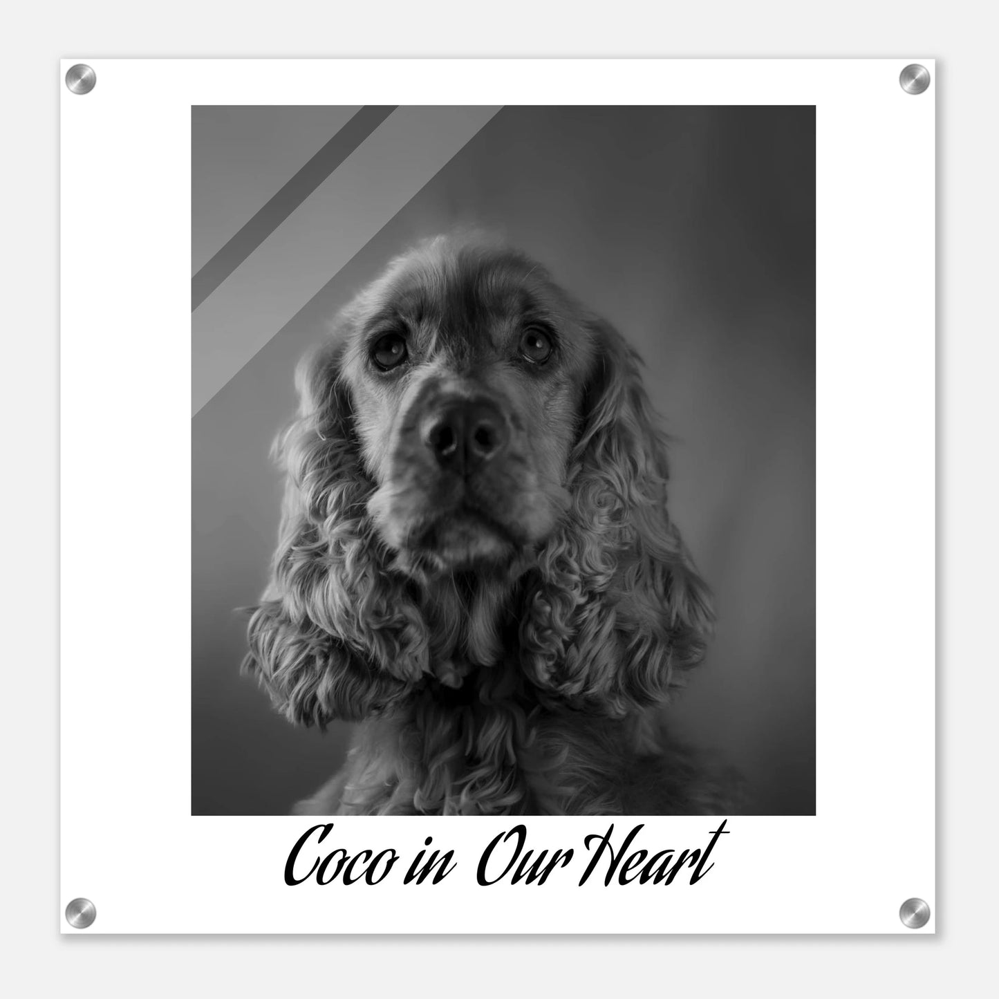 52802781-a738-4f64-b495-f6ad2baf755f