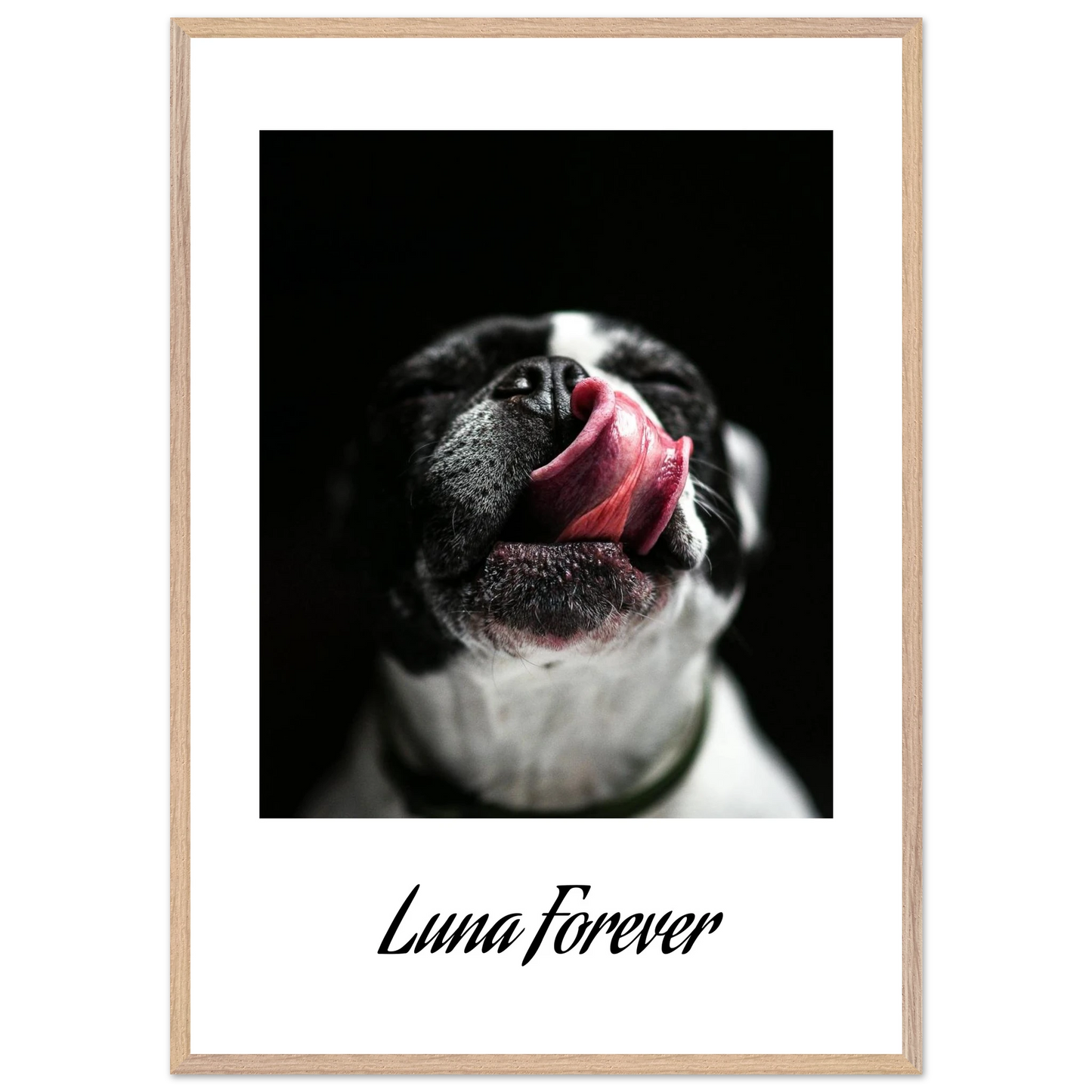 57016f07-0f9a-4d2e-9330-453775b631a5