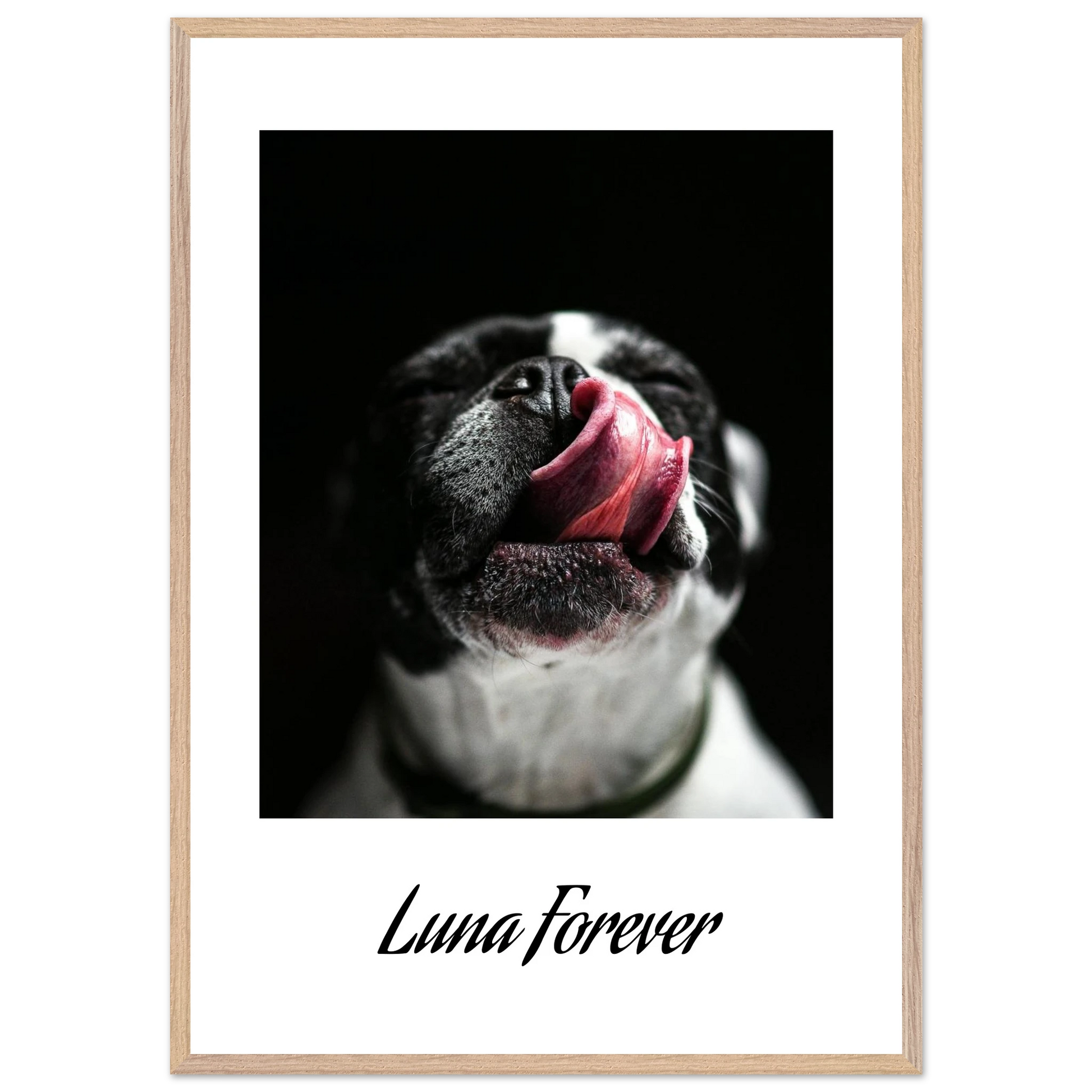 57016f07-0f9a-4d2e-9330-453775b631a5