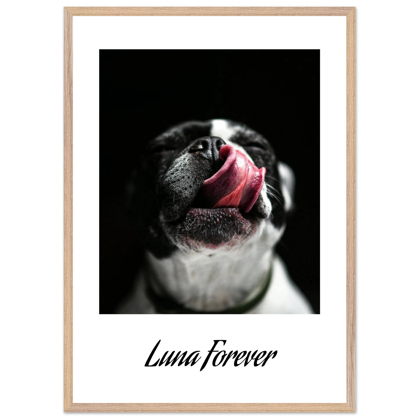 580b426b-6137-4c3f-9eec-2f7819612bd4