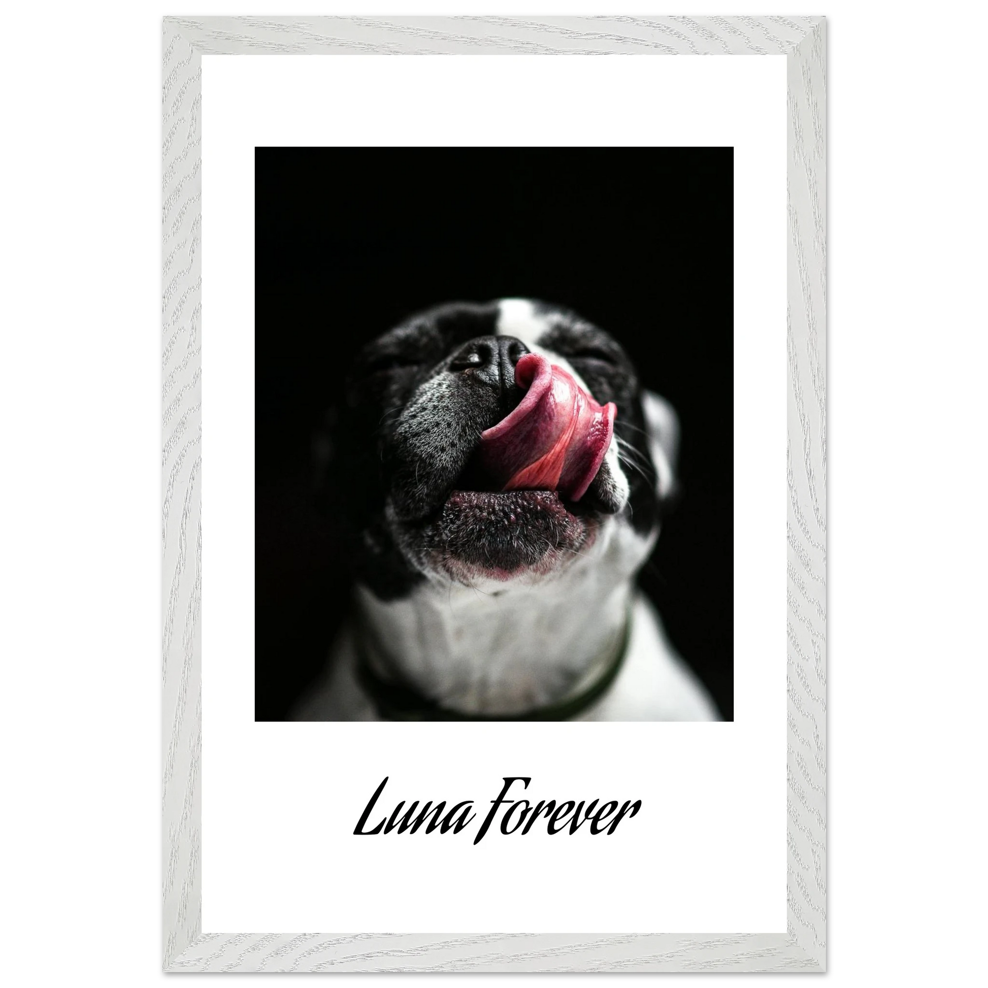 5dde10c6-8fb4-4305-9f4c-b17b88ee813f