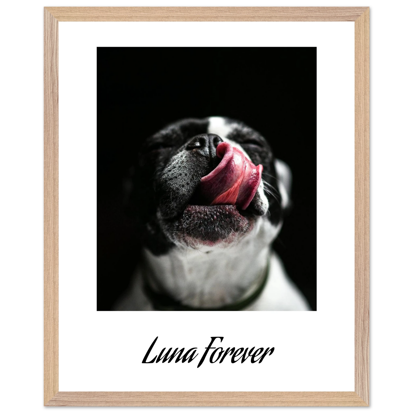 606d02da-a737-4938-aec9-9d3a3c449c31