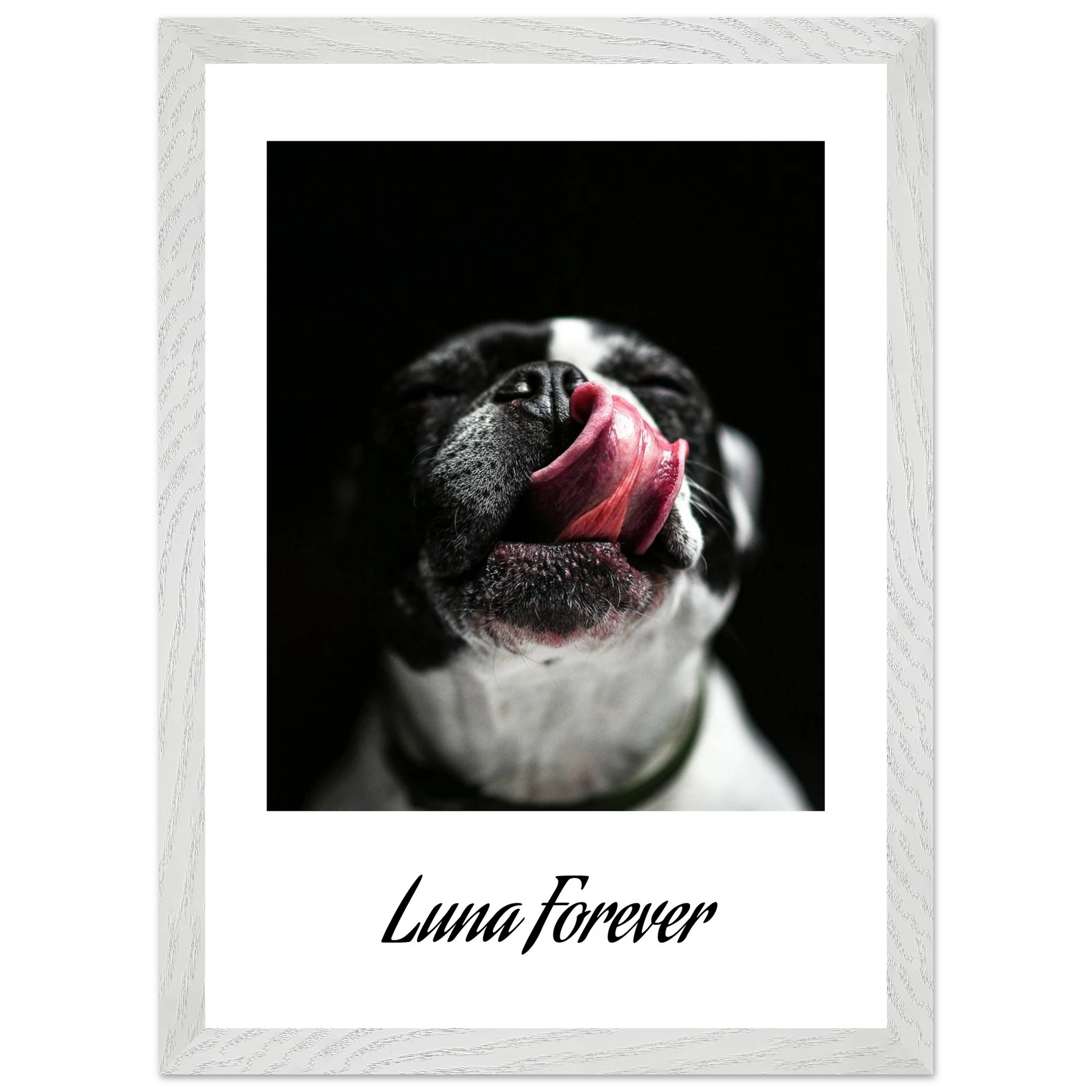 66a2b91b-96ff-4d95-8dd7-71a526bf3aff