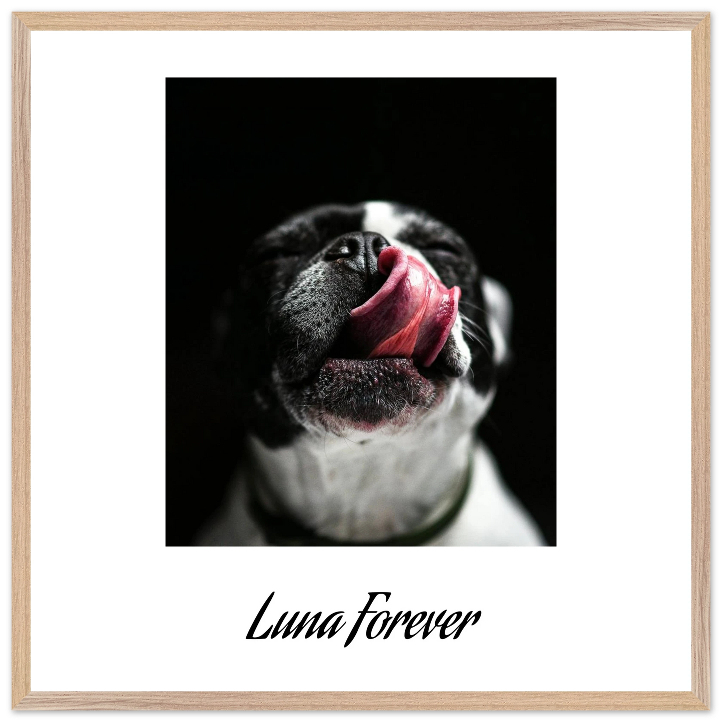 68c81ac7-1063-468c-9db6-65103ff1cdf9