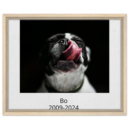 6b840db1-d633-4b51-bd2c-377177804b66