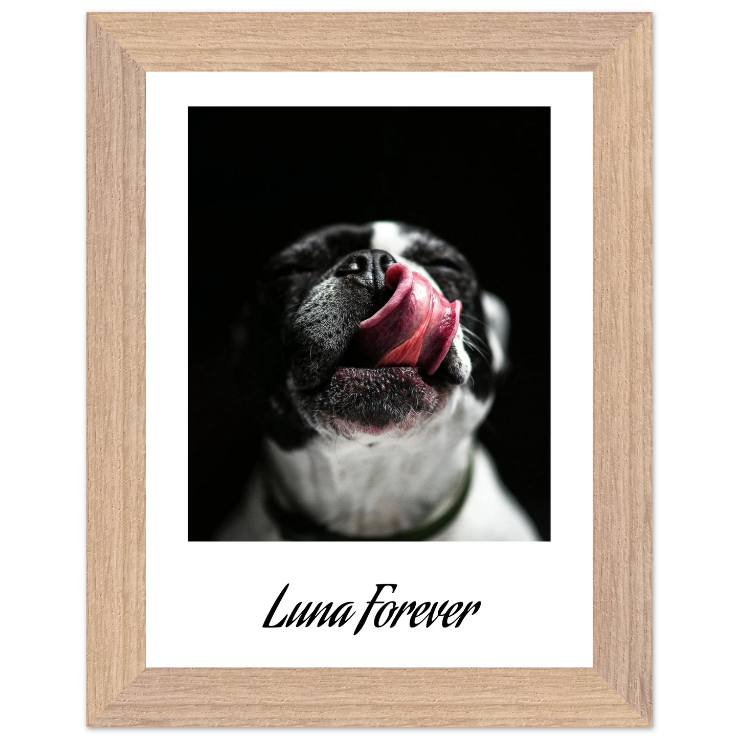 6ccf0b26-5c99-4bc3-b715-ab9db3bc1a69