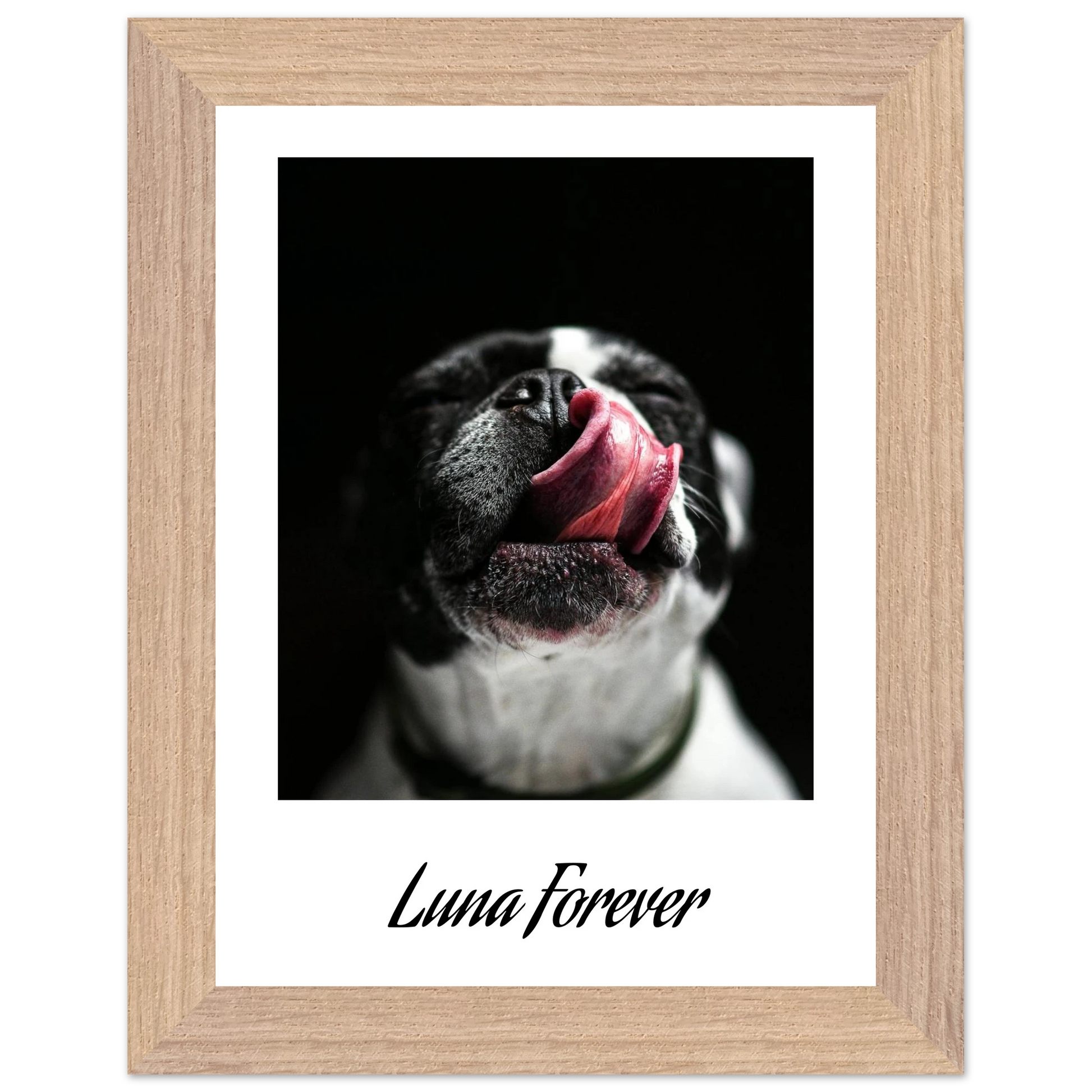 6ccf0b26-5c99-4bc3-b715-ab9db3bc1a69