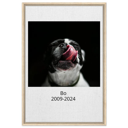 6dcefd87-d315-48c6-aa59-b69558f07000