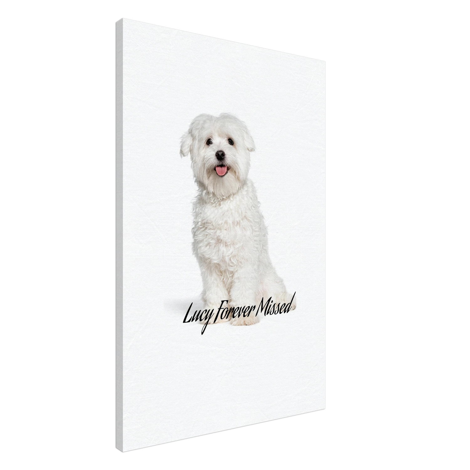 Pet Memorial Canvas