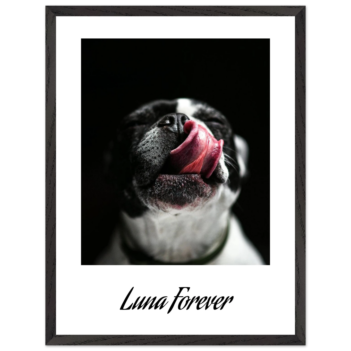 6f0b78f4-d07c-4b31-9920-88a01420cadf