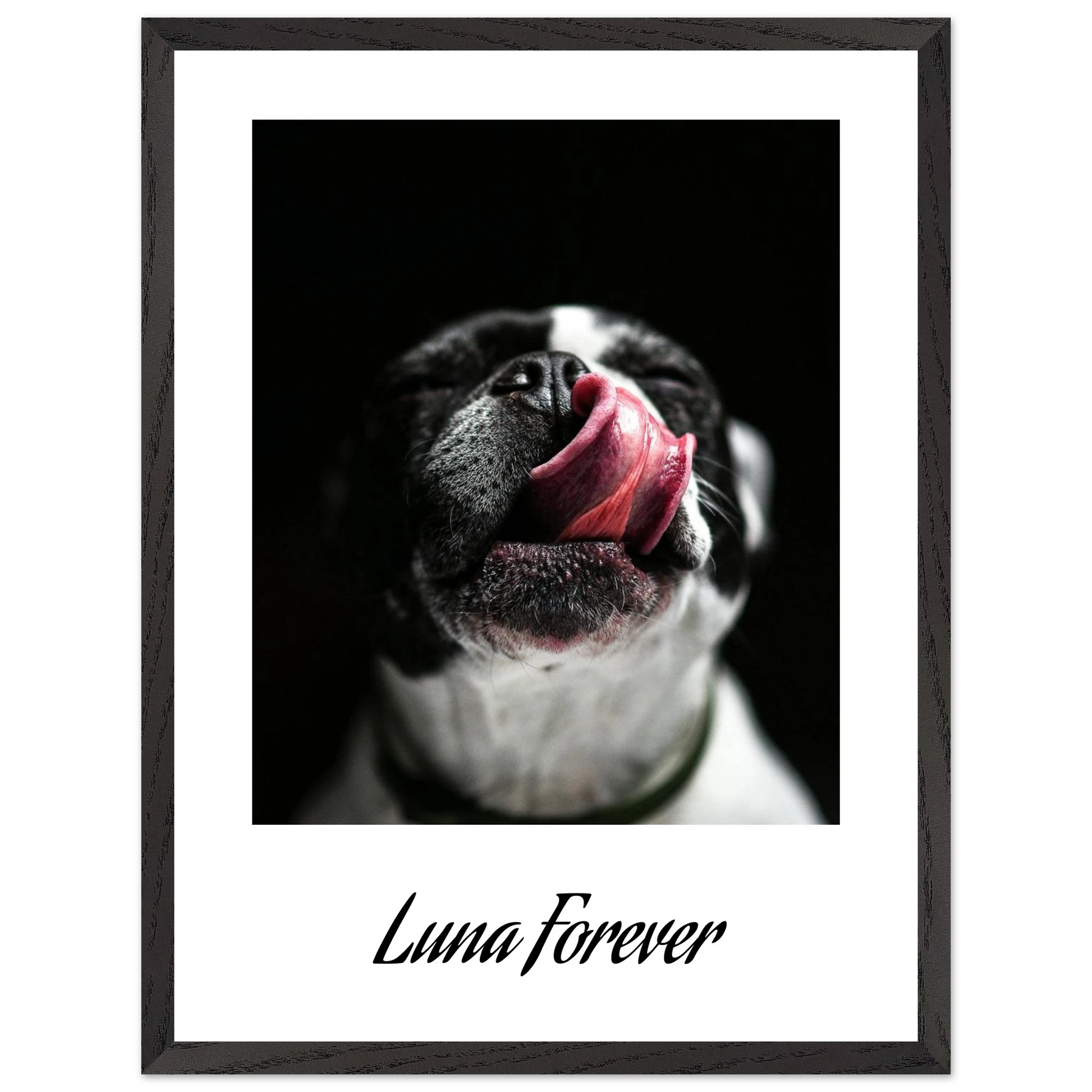 6f0b78f4-d07c-4b31-9920-88a01420cadf