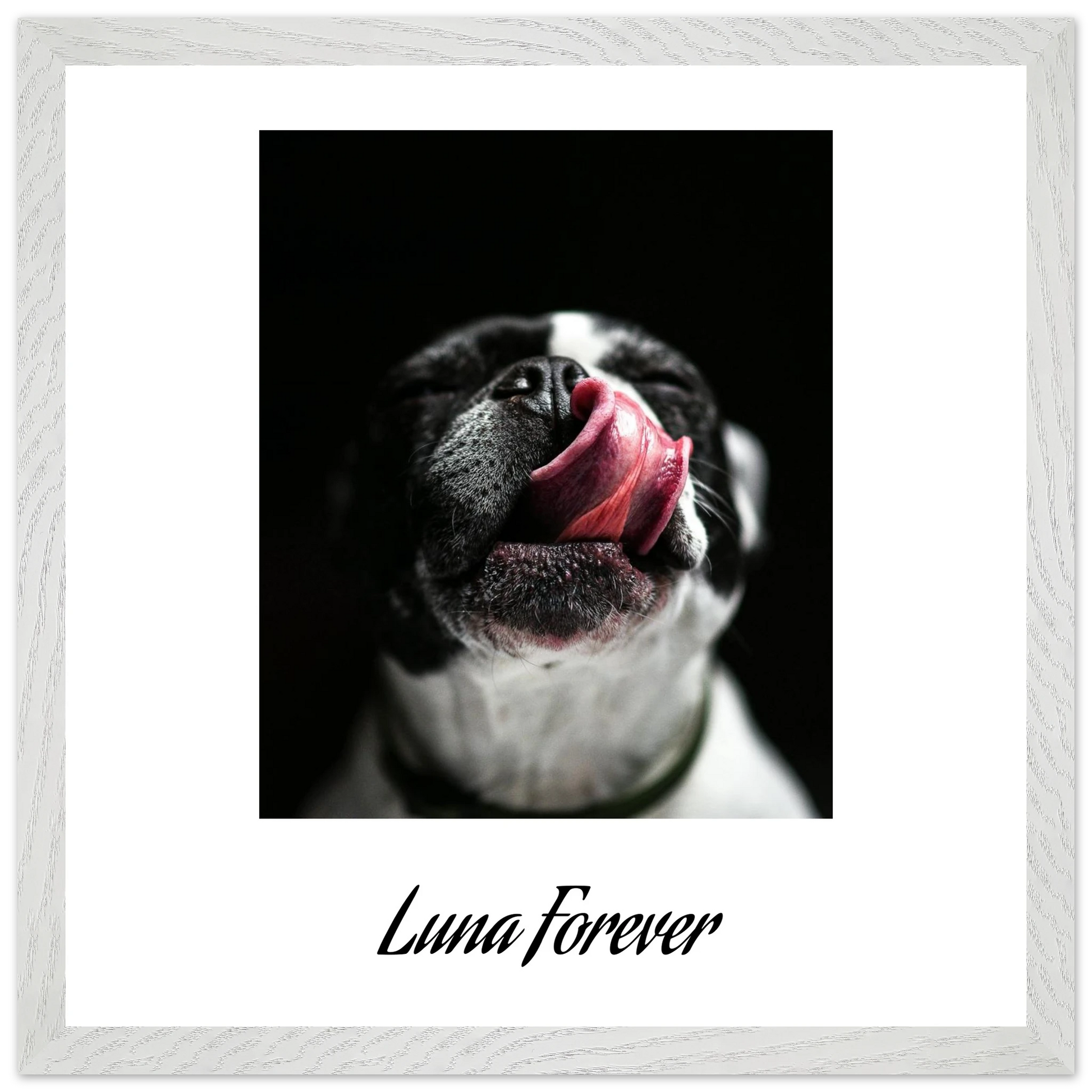 6f673c9b-07c7-4770-931d-7b9b51d14ad8