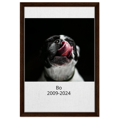 7067558d-96c5-49e5-a0ec-c6d75a764859