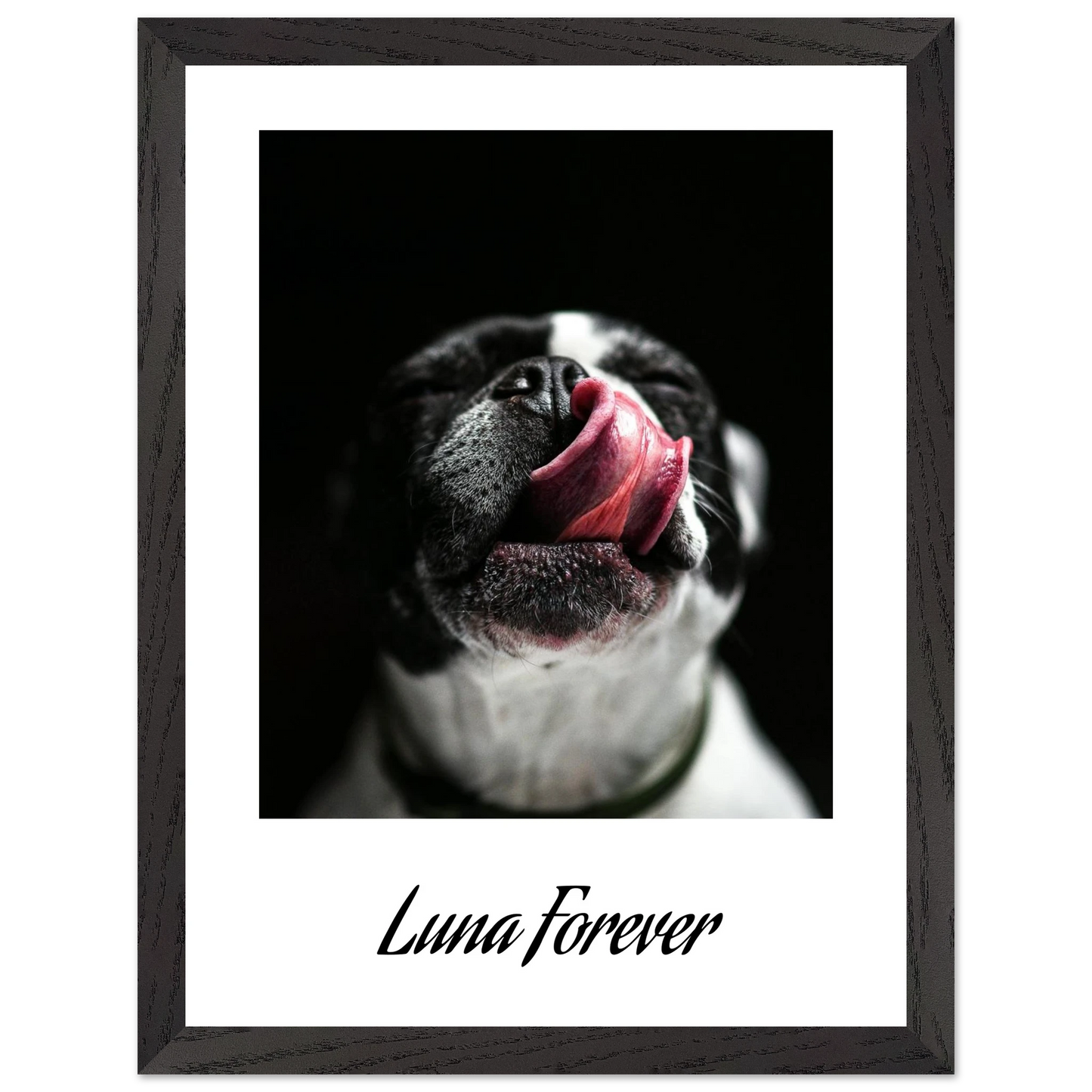 7d0e4c23-60cd-43d2-9f63-1498d4509310