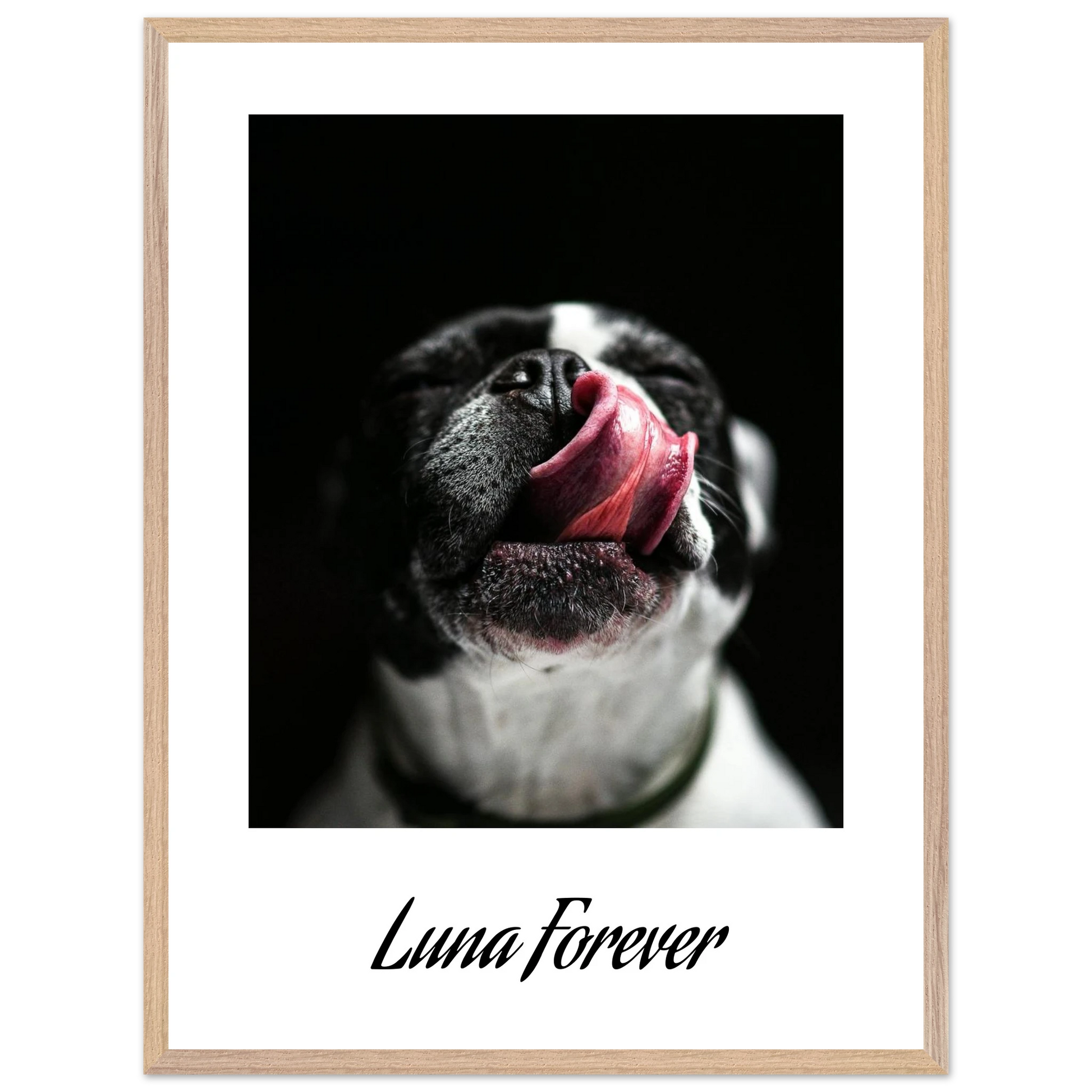 7d37df1a-69f7-4c4f-b931-237dd1e410d1