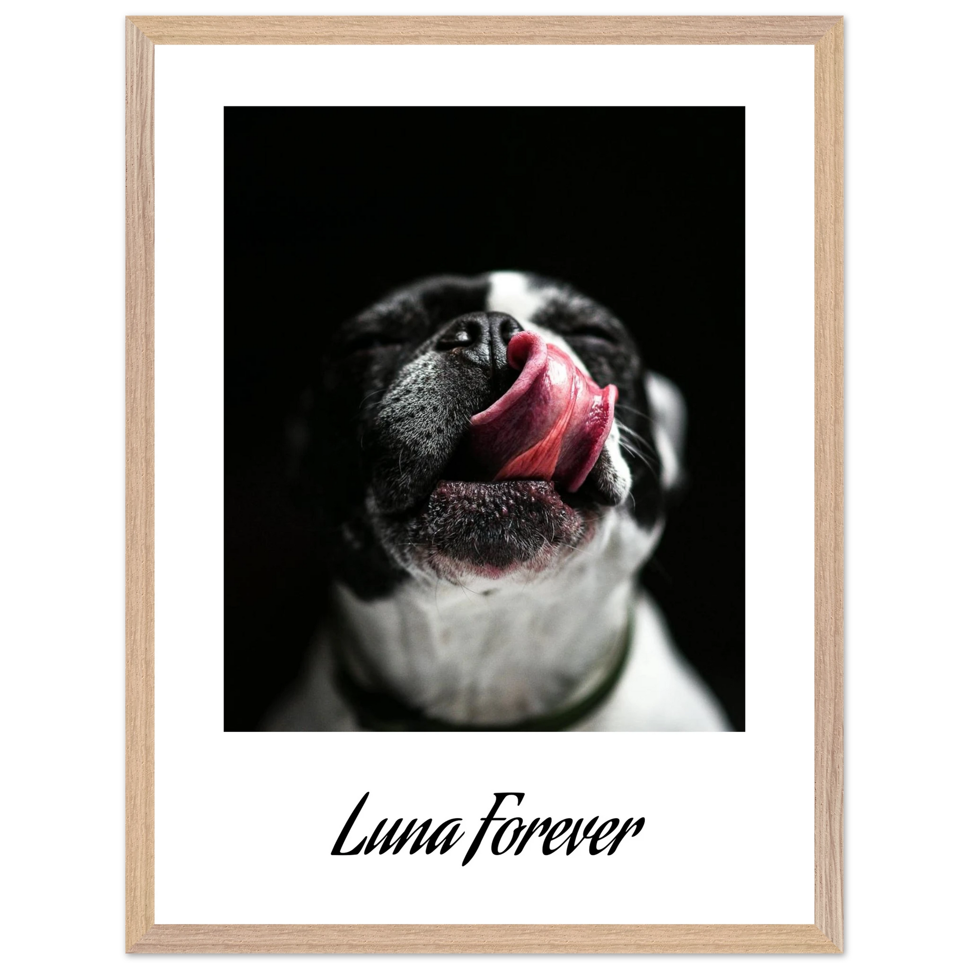 7d3d574b-c7ea-4ba8-b19e-0fa26c4dbb03