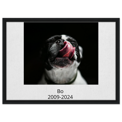 7edb95b5-d1dd-4cd9-9671-c22bdbad5c3a