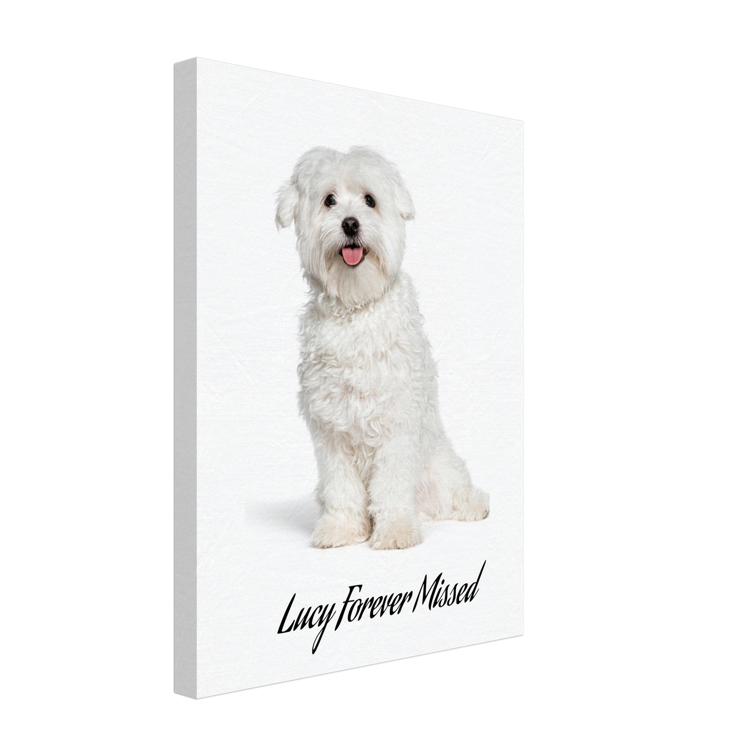 Personalized Pet Memorial Gifts