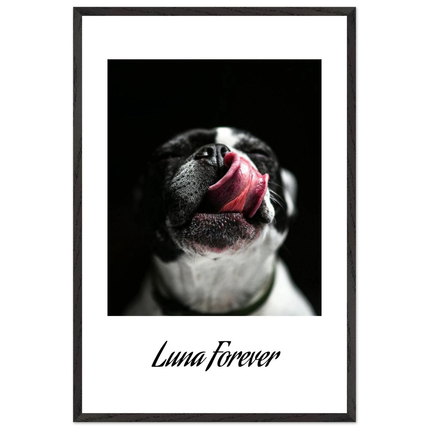 7ff64fae-521b-4e44-9559-1d5dda4fa6e5