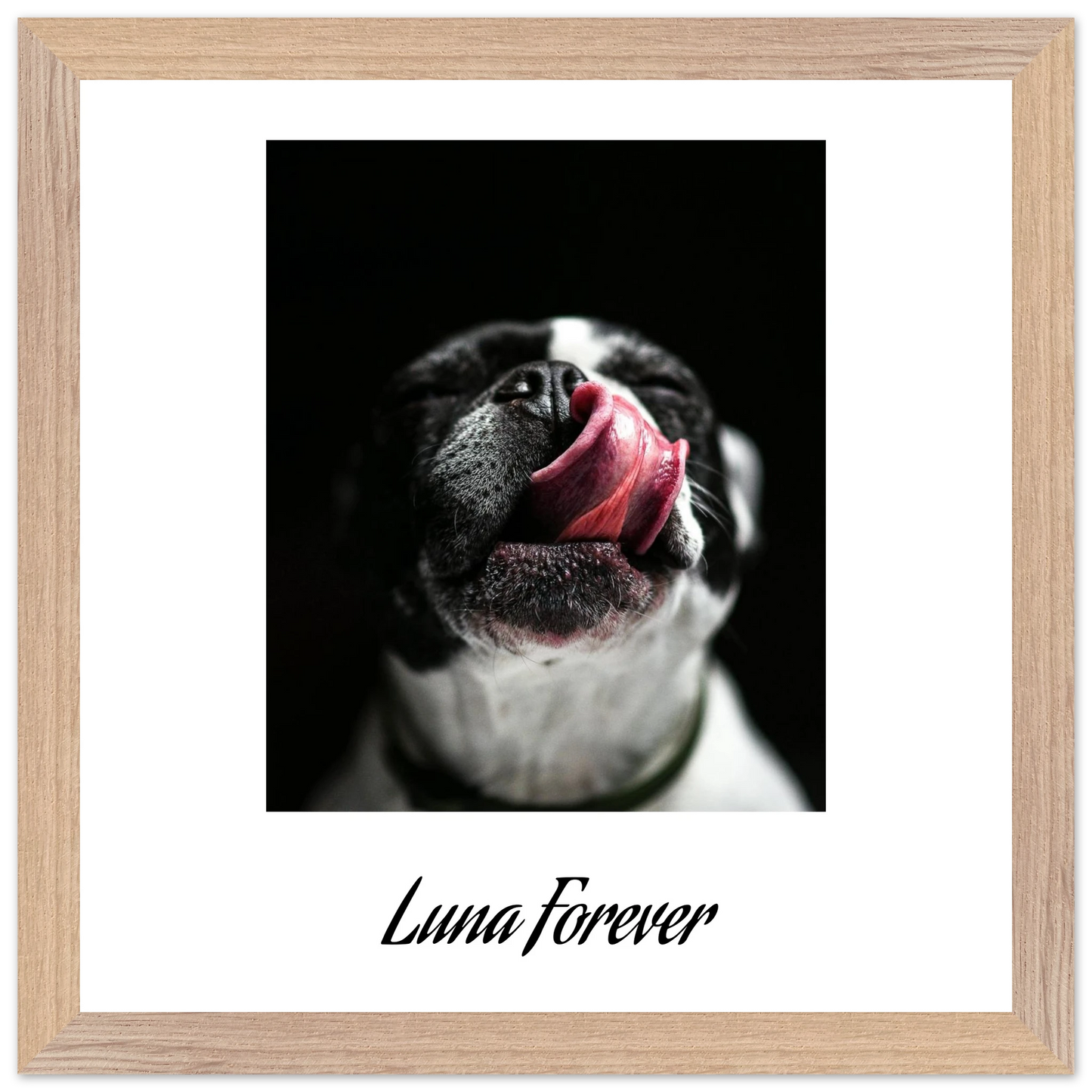 83b9e506-01fc-4883-941d-afbf35e81afe