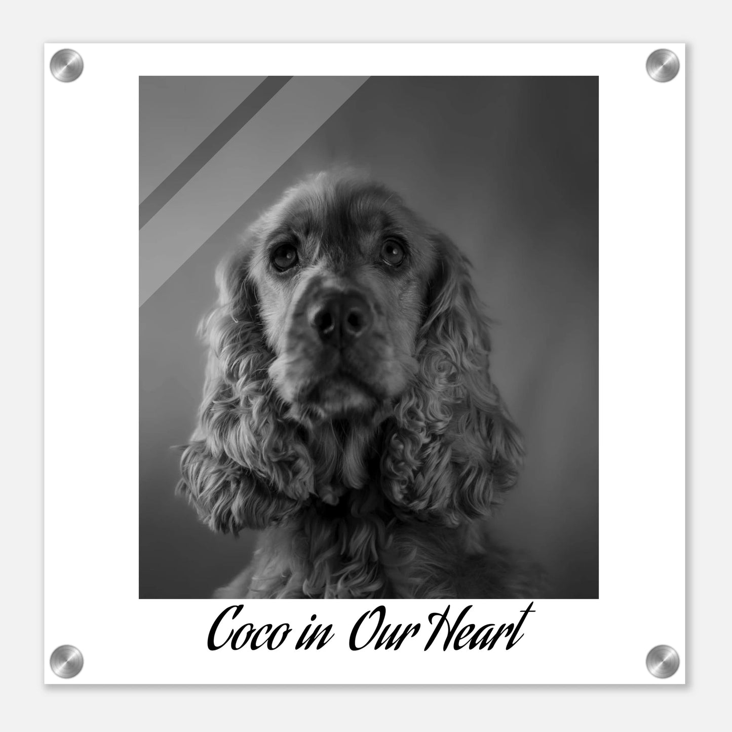 8530b940-5c99-4bb6-aa81-19b9ea874d41