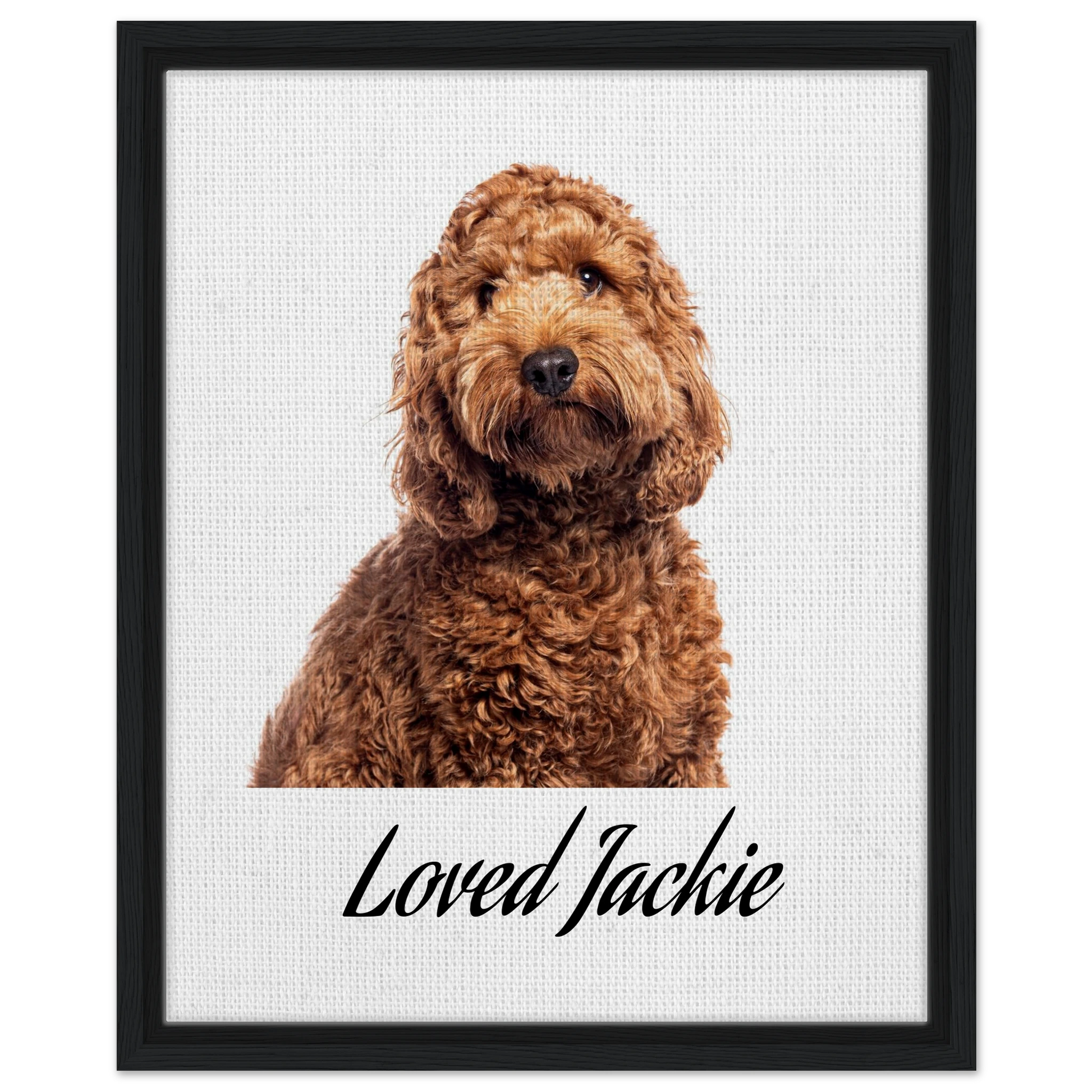 86b680b9-f05f-4e19-88fc-bc186bec030a