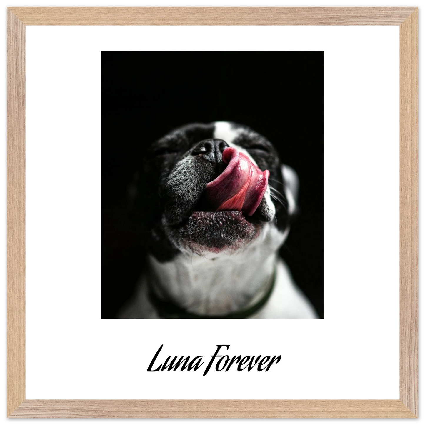 8ef9cc25-48c3-4b43-adc1-30948900c455