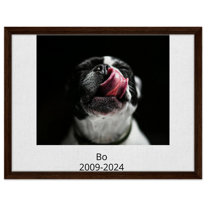 90a19481-9f85-49ea-95f7-0cc8b48832cb