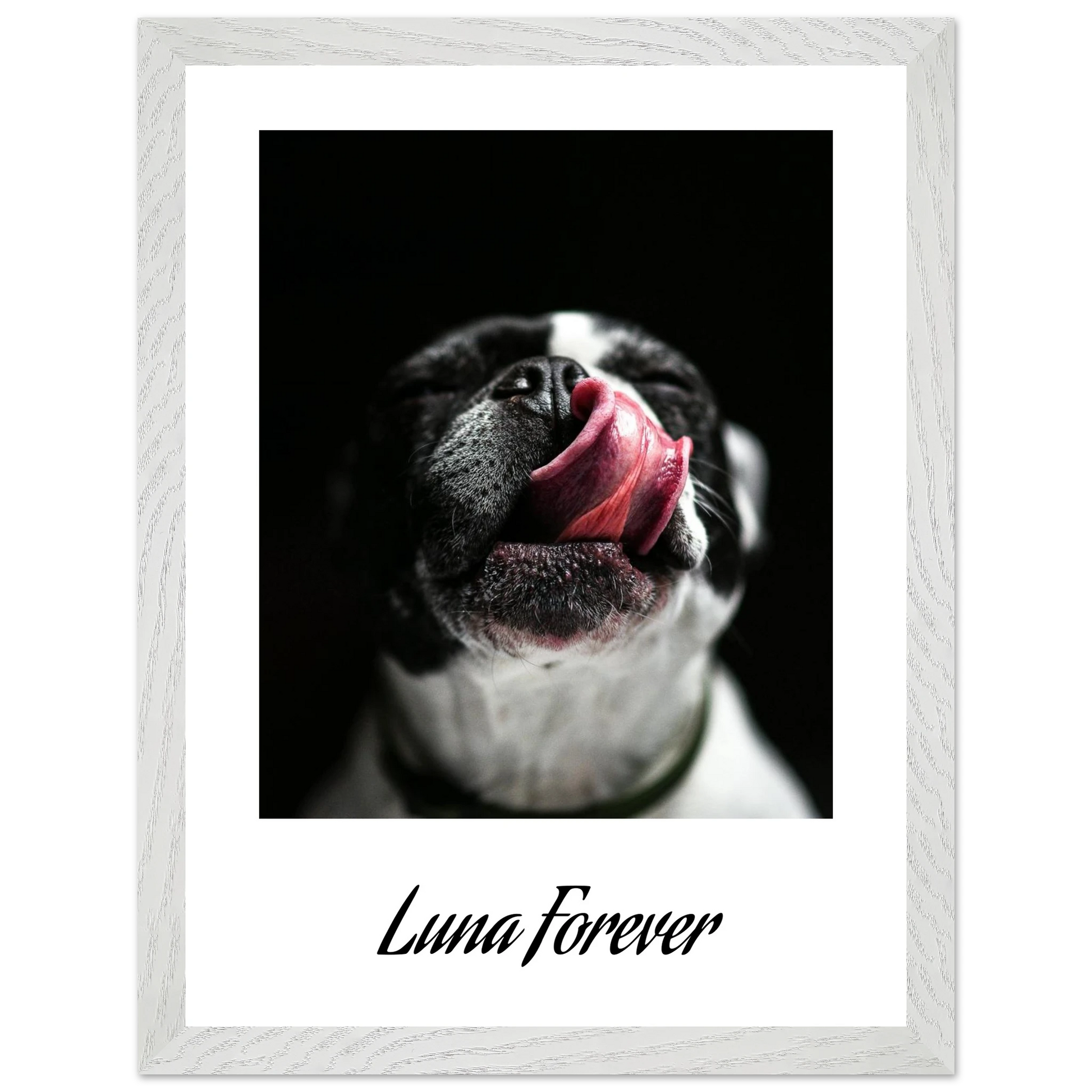 90e4a05b-7a37-4dc5-a3b1-767a77636b3e