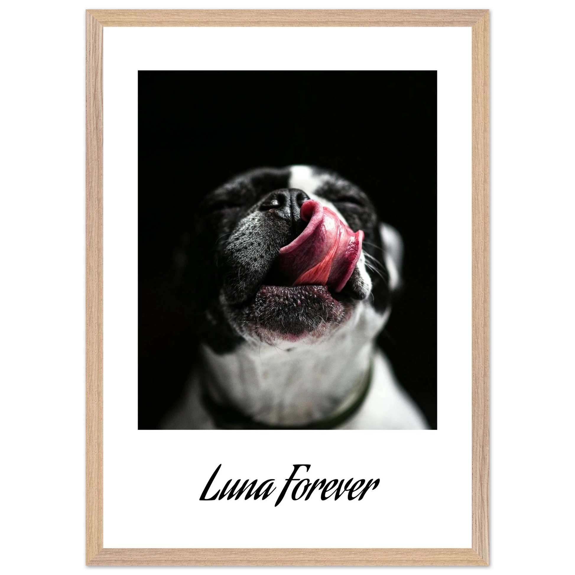 90fa2d2a-0c17-4ef8-8482-c31d64538296