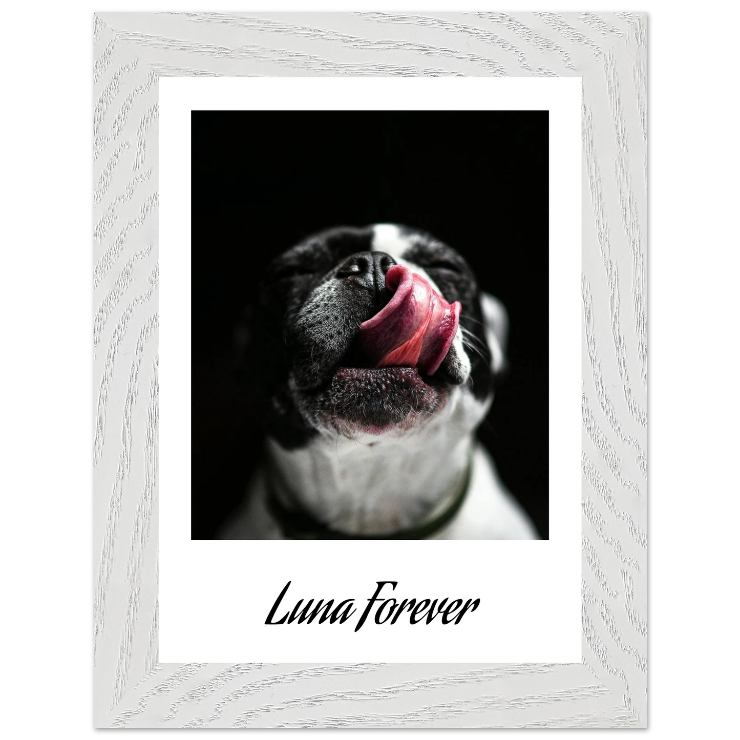 9fa7200f-329f-4c19-bce1-2213b0a79a2e