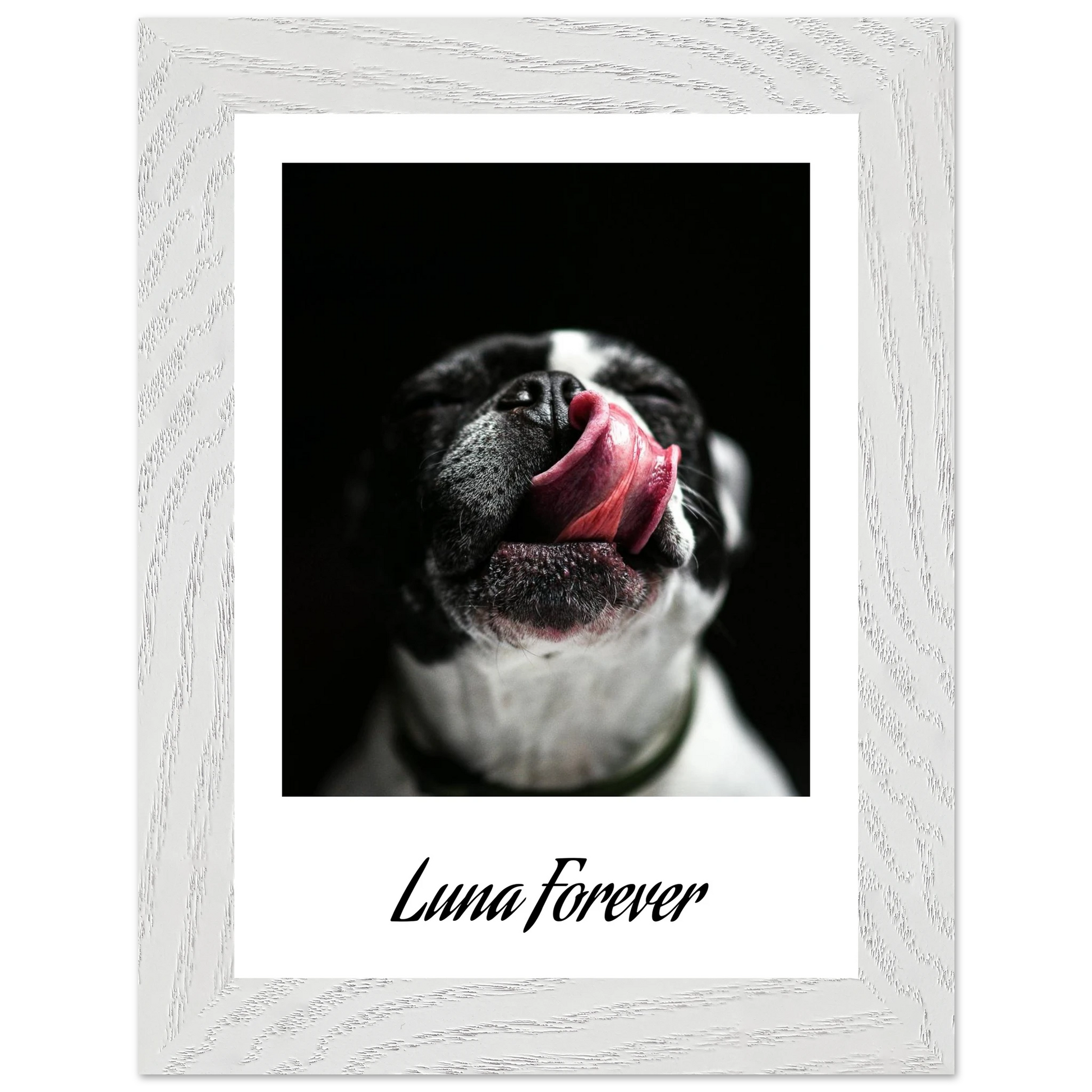 9fa7200f-329f-4c19-bce1-2213b0a79a2e