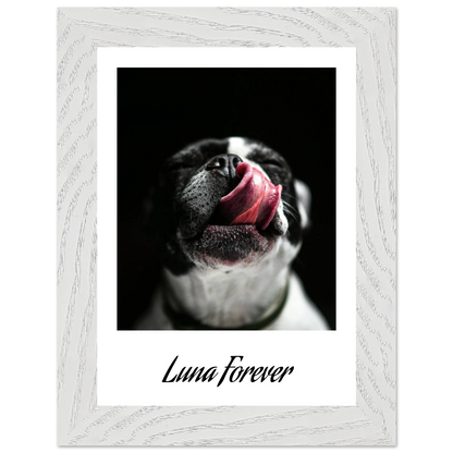 9fa7200f-329f-4c19-bce1-2213b0a79a2e